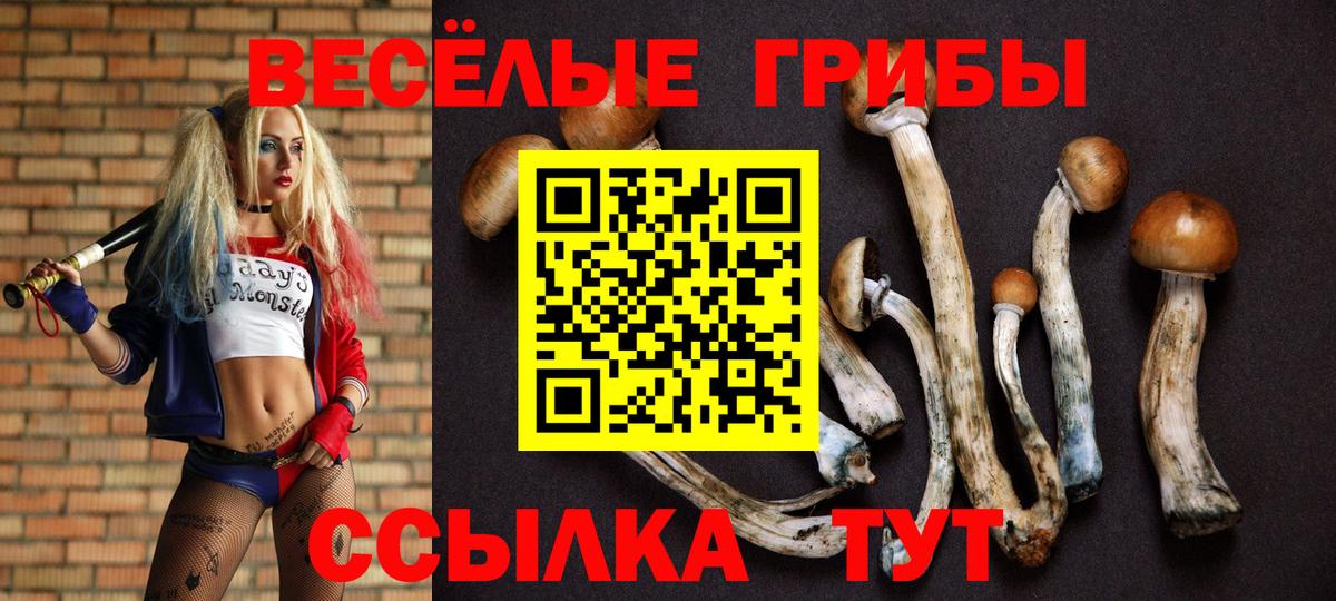 Галлюциногенные грибы Cubensis  Кувандык 