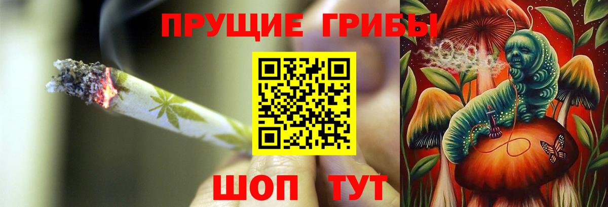 Кувандык  Псилоцибиновые грибы Psilocybe  где купить   Вход с VPN 