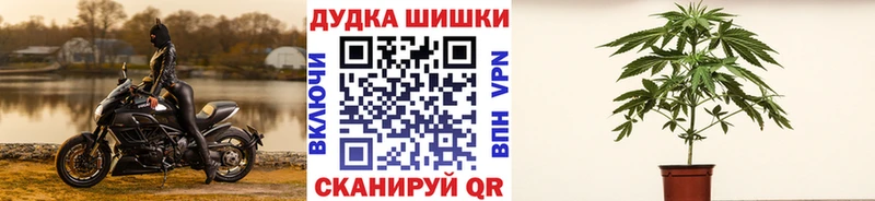 наркошоп Кувандык Марихуана Ganja