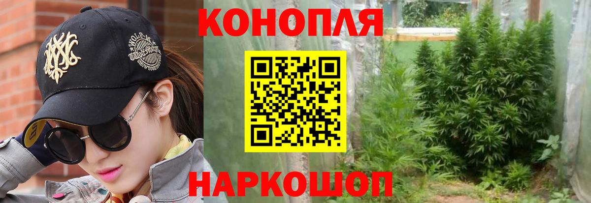 Конопля индика Кувандык